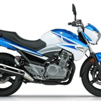 ������ľ ����Ŷ��� GW250