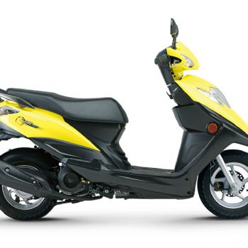 ������ľ VM100 HJ100T-5