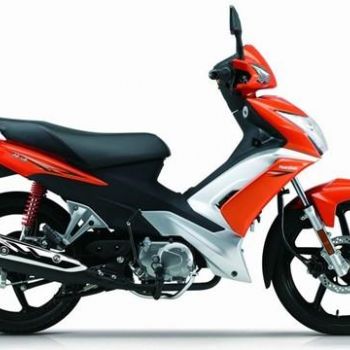 ������ľ �ŵ� HJ110-3