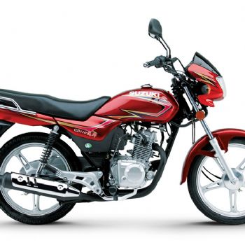 ������ľ ��˧ GD110(�����ֿ�)