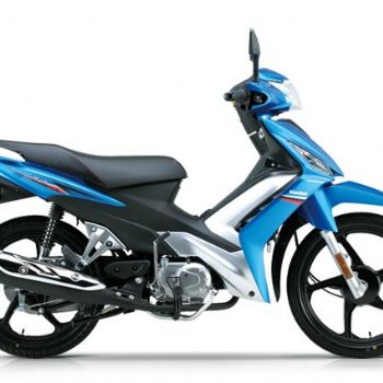 ������ľ �ŵ� HJ110-5