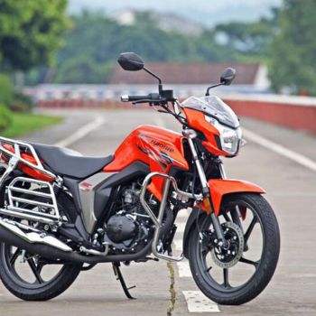������ľ DK150 HJ150-30