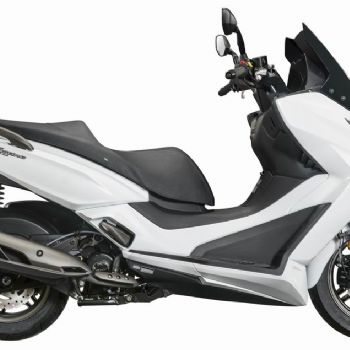 ������ͦ250T