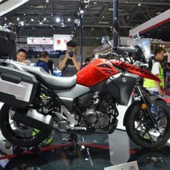 ������ľ  DL250