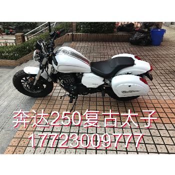  ����250 FAN2�����ܴ���