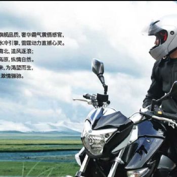  ������ľGW250