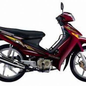 ������ľ ������ QS110