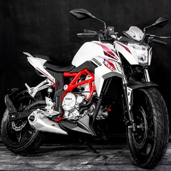 ¡��  300R