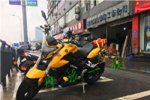 ¡��650�޼����������ܳ���¡��LX650�ܳ�Ħ�г���