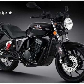 ���ӥ�����������顱DD250G-2N