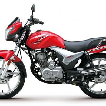 ������ľ ��ˬHJ125-19