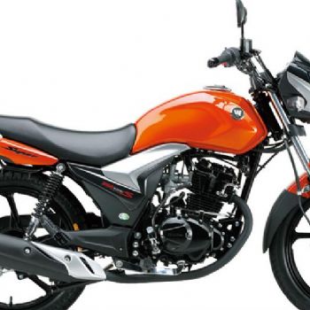������ľ ������ˬHJ125-20