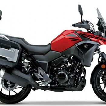 ������ľ DL250