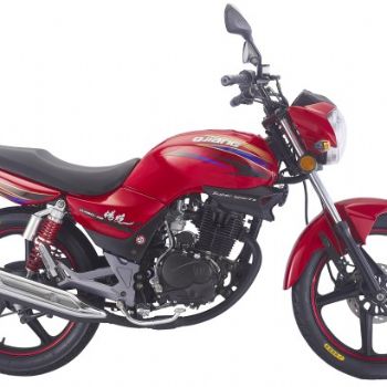 Ǯ�� ���� QJ150-11B a5-1