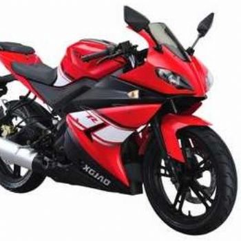 �¸о� ���ܳ� XGJ250-21