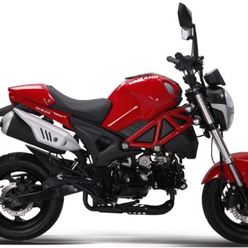 ���� С���� YG125-21A