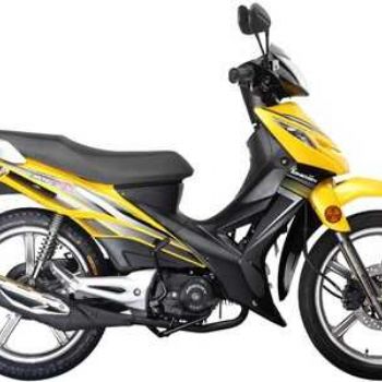 ���� V�� ZS110-61S