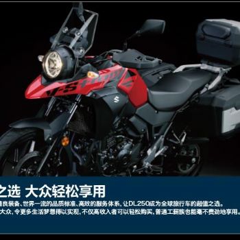 ��ľDL250