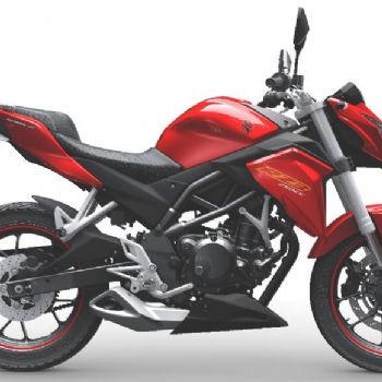 ���������� RZ3/ZS250GS-2A
