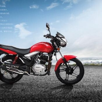 ���� ���� ZS150-40F/125-55F���衭