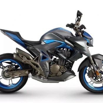  ���� �ֳ���310R