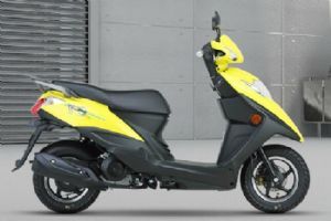 ������ľ VM100 HJ100T-5A