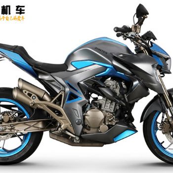 ���� �ֳ��� 310R