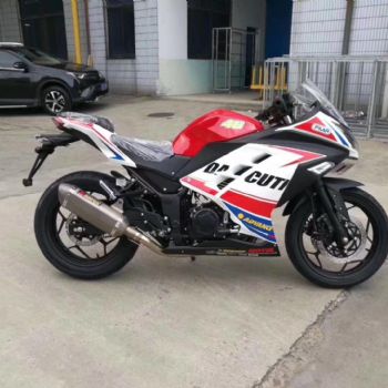 �¸о�XGJ250-21�������棩