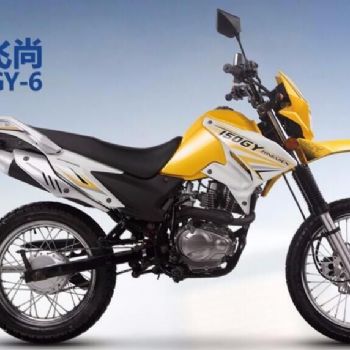 ���� ���� ZS150GY-6