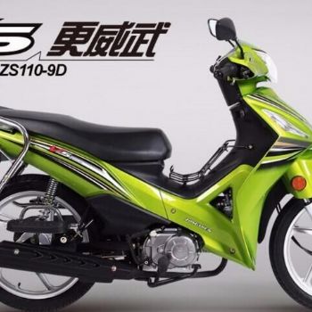 ���� ���� ZS110-9S [����