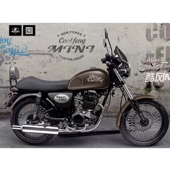 ���miniרҵ���Ż���