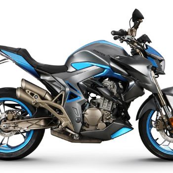 ���� �ֳ��� 310R