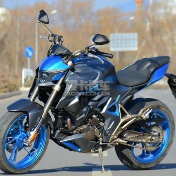  ����310R