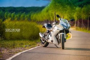 �������N�⡱ 쫷�302���μ�����ïɽ