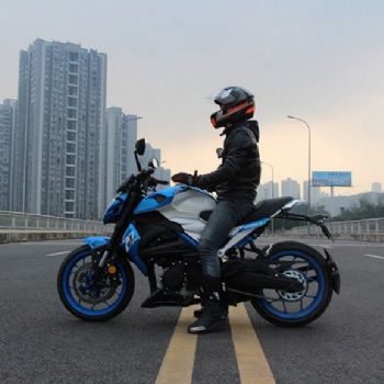 �¸о�XGJ250-3