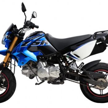 ���� ��� ZS125GY-5