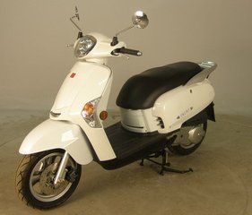����CK175T