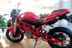 �������WJ300