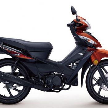 ������wh100-2