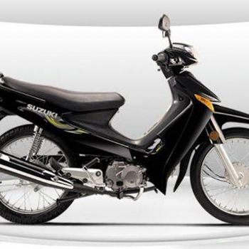 ������ľQS110