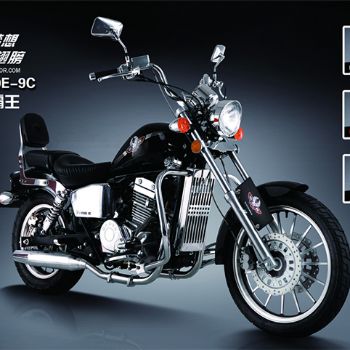 ���ӥ�� ��ͷ���� DD250E-9C��ʽ����ˮ��250��