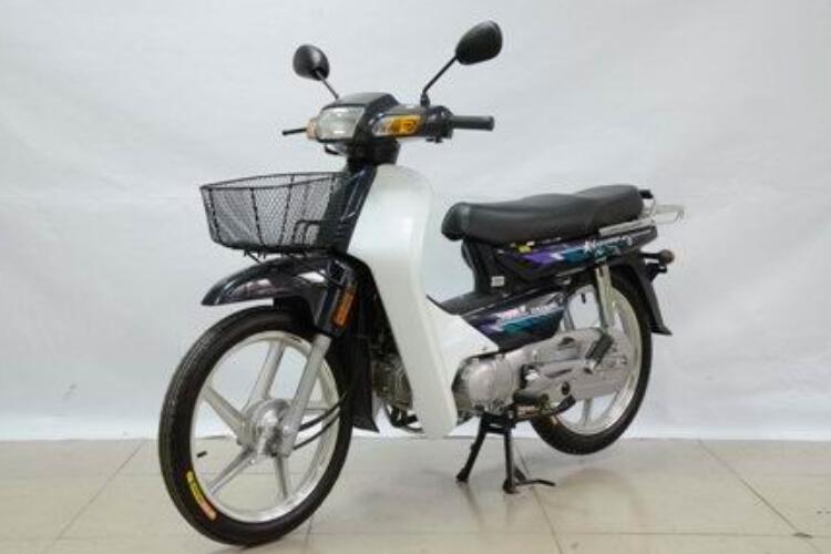 ���� DY100-M(2022)