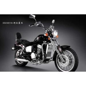 ���ӥ��250E-9A