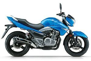 ������ľ ��� GW250