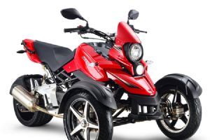 ���� ������ JM175ZD