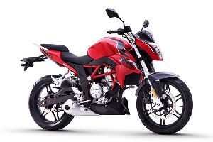 ¡�� 300R LX300-6A