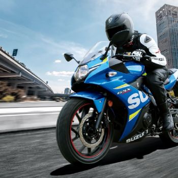 ������ľ  GSX250R ABS