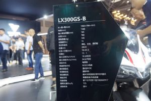 �޼�300RR LX300GS-Bֱ��Ħ���᣺�޼�300RR