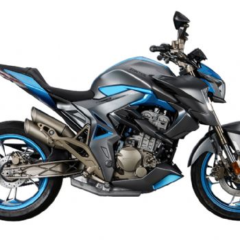  ����310R