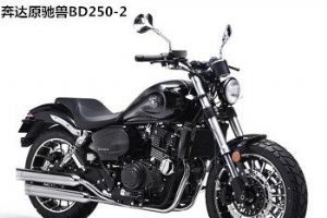  ����ԭ����BD250-2 ˫������̫�ӳ� �ֻ� 250˫��